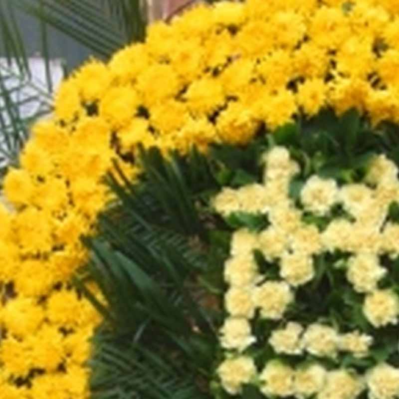 菊花台