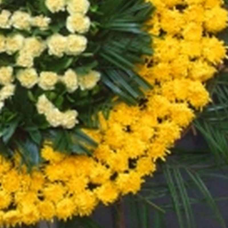 菊花台